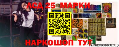 СК Моздок