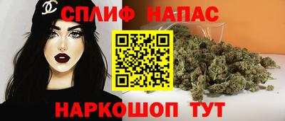 СК Моздок